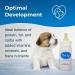 Buy PETAG ESBILAC Puppy Milk Replacement Powder | 340g Formula with Prebiotics & Probiotics | Ideal for Newborn Puppies up to 6 Weeks | International Shipping - Buy Online on GoSupps.com