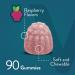 Calcium Magnesium Zinc Gummies with Vitamin D3 - Bone & Immune Support - Gluten-Free Chewable Supplements for Adults & Teens - 30 Servings - Buy Online on GoSupps.com