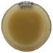 Ginger People Ginger Juice - 5 fl oz | Natural and Organic - Buy Online on GoSupps.com