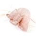 Z&X Women's Sinamay Fascinator Pillbox Headband Hair Clip Cocktail Tea Party Hat 035 Nude Pink One Size - Buy Online on GoSupps.com
