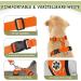 Buy Slowton XS Dog Harness with Seat Belt Breathable & Safe Car Gear for Dogs | 2 Carabiner Hooks | Orange Color - Buy Online on GoSupps.com
