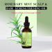 Organic Rosemary Hair Oil - Natural Essential Oil for Healthy Hair & Scalp Care - 30ml - Buy Online on GoSupps.com