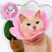 2 Piece Adjustable Cat Collar & Neck Rope - Post-Surgery Recovery Cone for Puppies & Small Dogs (Pink L) | A-Rosa International Shipping - Buy Online on GoSupps.com
