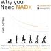 Biosyntra NAD+ Supplement 900mg Nicotinamide Riboside with Resveratrol Pure Anti-Aging Supplement for Cellular Energy Longevity & Vitality 3rd Party Tested Non-GMO Gluten-Free 60 Capsules - Buy Online on GoSupps.com