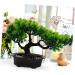Zerodeko Artificial Pine Potted Plant Mini Fake Potted Plant Office - Buy Online on GoSupps.com