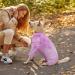 Buy A-Lila XS Dog Rehabilitation Suit - Purple Overall Recovery Onesie for Male & Female Dogs - Long Arm Pajama with Surgical Dividers - Buy Online on GoSupps.com