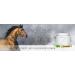 Dr. Weyrauch Zinkursan Vet | 500g | Horse Supplement | May Help Compensate Zinc Deficiency | May Contribute to Hoof Regeneration - Buy Online on GoSupps.com