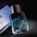 Cologne for Men Light blue ocean notes Sandalwood rose vanilla scent The content is 1.76 ounces (sandalwood) (mint) - Buy Online on GoSupps.com