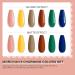 Morovan Poly Gel Nail Kit - 6 Colors Professional Poly Extension Gel Starter Kit for Easy DIY Nail Art at Home - Buy Online on GoSupps.com