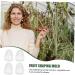 FELTECHELECTR 4pcs Holder Gardening Peach Statue Forming Growth Ginseng Watermelon Supply Strawberry Buddha Melon - Buy Online on GoSupps.com