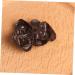 TOPBATHY 10pcs Simulation Vegetables Agarics Props Fake Agarics Vegetables Model Lifelike Veggies Vegetable Photography Props Small Agarics Decoration Wall Fake Black Fungus Food Pvc Dark Brown 5.00X4.20X1.00CM - Buy Online on GoSupps.com