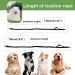 Premium Stretchy Dog Leash for Jogging & Hiking - Ideal for Small to Medium Dogs (118-200 cm) - Buy Online on GoSupps.com