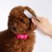 Premium Dog Trimmers with Wooden Handle Ideal for Dachshunds Terriers & Medium Breeds | Pet Care Tool for Undercoat Grooming - Buy Online on GoSupps.com