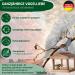 Buy Eggersmann Volaris 30 Meisenkn del Whole Grain - 2.7 kg Nutrient-Rich Wild Bird Feed | Ideal for All Bird Species | International Shipping Available - Buy Online on GoSupps.com