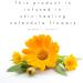 Organic Calendula Salve (Lavender Chamomile) Eczema Cream 2 oz - Buy Online on GoSupps.com
