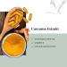 Buy High Dose Curcuma Extract - 315mg Vegan Turmeric Capsules (90) | Additive-Free Lab Tested Made in Germany for Balanced Vitality - Buy Online on GoSupps.com