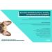 LickiMat X Large Buddy Dog Feeding Mat for Boredom and Anxiety Relief Ideal for Food Treats Yoghurt or Peanut Butter Fun Alternative to a Slow Feeder Dog Bowl Perfect for Large Breeds Turquoise - Buy Online on GoSupps.com