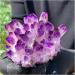 Crystal Cluster New Find Purpl Phantom Quartz Crystal Cluster Specimen 400g ningxiao - Buy Online on GoSupps.com