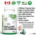 PlantVital Chlorella Capsules- Antioxidant Chlorophyll Capsules - Organic Chlorella Powder 1500mg per day - Broken Cell Wall Algae Supplement-Vegan Superfood - Non-GMO - 2 Month Supply - 120 Capsules 120 count (Pack of 1) - Buy Online on GoSupps.com