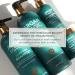 Argan Magic Color Protection Hair Mask - Nourishing & Hydrating Hair Treatment for Color Treated Hair | Enriched with Moringa Oil & Botanical Extracts | 8 oz | Made in USA - Buy Online on GoSupps.com
