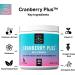 Cranberry Chews for Cats - UTI, Bladder, Kidney & Urinary Tract Support - 60 Soft Treats with Cranberry Extract, Echinacea & Vitamin C - Buy Online on GoSupps.com