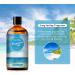 PHATOIL Sea Breeze Fragrance Oil 100ml - Aromatherapy & DIY Scented Products - Buy Online on GoSupps.com