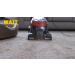 ZEP INC Carpet Shampoo - 128 fl oz | Deep Clean Your Carpets | Fast International Shipping - Buy Online on GoSupps.com