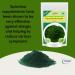 YAMKAY Natural Spirulina Powder (300 GM) - Buy Online on GoSupps.com
