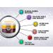 Immortelle Magic Cream 4 oz - Tesla's Origin Miracle Ointment for Cut, Wound, Scars, Stretch Marks - Natural Immortelle Oil Formula - Buy Online on GoSupps.com