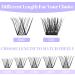 Individual Lashes 0.07mm Cluster D Curl 12-16mm Mixed Long Reusable Soft Wispy DIY Lash Extensions - Buy Online on GoSupps.com