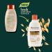 Aveeno Hydrating Oat Milk Scalp Soothing Conditioner - 300ml (Pack of 1) - Buy Online on GoSupps.com
