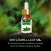 100% Pure Bay Laurel Leaf Oil (Laurus Nobilis) - Natural Essential Oil 30ml | International Shipping Available - Buy Online on GoSupps.com