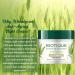 Biotique Wheat Germ Firming Face & Body Cream - Nourishing Moisturizer for Normal to Dry Skin | International Shipping - Buy Online on GoSupps.com