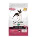 Schesir Dry Food for Small Adult Dogs Ham Flavored Maintenance Line Croquettes - 2 kg Bag