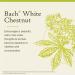 Bach Original Flower Remedies White Chestnut - Calm The Mind - Natural Homeopathic Flower Essence for Emotional Balance - Vegan Gluten Free Sugar Free - 20mL Dropper - Buy Online on GoSupps.com
