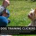 HGOCAHUZI Dog Training Clickers Dog Whistle Pet Clicker 2-in-1 Trainer Practical Pet Training Tools with Lanyard for Dogs Cats Birds Puppy Training - Buy Online on GoSupps.com