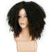 Curly Afro Wig for Dark-Skinned Women | Real Hair Lace Front Loose Synthetic Ponytail - WL9302 - Buy Online on GoSupps.com