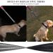 VIVAGLORY Short Dog Lead - 61cm Black/Red for Medium & Large Dogs - Buy Online on GoSupps.com
