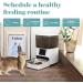 WHDPETS Automatic Cat Feeder with WiFi, App Control, Stainless Steel Bowl, and Voice Recorder - Perfect for Cats & Dogs - Buy Online on GoSupps.com