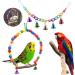 Anteer 12 Pack Bird Parrot Swing Chewing Toys - Hanging Bell Cage Toys for Small Parakeets, Cockatiel, Conures, Finches, Budgie, Macaws, Parrots, Love Birds - Buy Online on GoSupps.com
