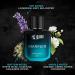 Beardos Mariner Perfume EDP 50ml & Mariner Captain Jack Perfume Body Spray 120ml | Eau De Parfum | Long Lasting Perfume for Men | Deodorant Body Spray for Men | Day Time Fragrance Body Spray For Men | - Buy Online on GoSupps.com