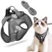 Cat lines with dishes for cats dog harness cat dishes with leash cat harness and leash cat dishes Little cat cat dishes cat dishes cat dishes and leash set outdoor walking gray l