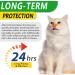 Natural Antibiotics for Cats Cat Antibiotics Pet Antibiotics Supports Cat Allergy Relief Cat Itch Relief Cat Allergy Support Kennel Cough Cat UTI Cat Multivitamin - Buy Online on GoSupps.com