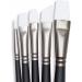 Angelus Paint Brush Set - 5 Piece Round, Flat, and Angular Artist Acrylic Shoe Painting Brushes - Buy Online on GoSupps.com