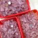 Gift for Family 50G Natural Raw Pink Rose Quartz Crystal Rough Stone Specimen Crystal Love Natural Stones and Minerals Fish Tank Stone Lucky Stone Natural Stones and Minerals - Buy Online on GoSupps.com