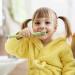 Shop Pandaear 6er Tooth Aid Baby Bite Tube | BPA-Free Soft Silicone Baby Bite Toys with 2 Cleaning Brushes - Perfect for Teething & Biting Relief - Buy Online on GoSupps.com