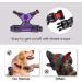 Phoepet Reflective Adjustable Dog Harness - Anti-Educational Training Handle Name ID Card XS Violet - Perfect for Comfortable Control & Safety - Buy Online on GoSupps.com
