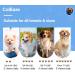 ColEaze Glucosamine for Dogs 150 Count Joint Supplement Glucosamine Chondroitin MSM Turmeric Hip & Joint Health Chicken Liver Flavour Chicken 150 Count - Buy Online on GoSupps.com