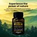 Coretribe Shilajit Capsules with Sea Moss & Ashwagandha for Men & Women 10 in 1 Himalayan Shilajit Supplements Fulvic Acid & Humic Acid Energy & Immune Support 120 Count - Buy Online on GoSupps.com