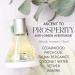 ASCENTION Ascent to Prosperity Manifestation Fragrance | Clean Perfume with Green Aventurine Healing Stone Crystal | Skin Safe Spray Parfum | Woody Floral Scent w/Cedarwood Patchouli & Jasmine Ascent to Prosperity 1.7 Fl Oz (Pack of 1) - Buy Online on GoSupps.com